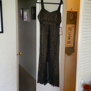 Long evening gown, size 18W, with tags still on